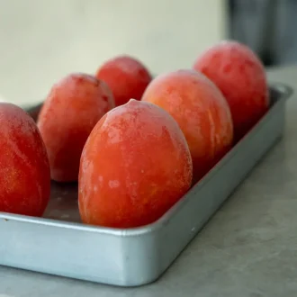 Tomates maduros congelados