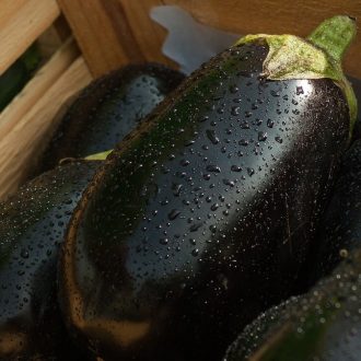 receitas com berinjela